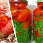 Eingelegte Tomaten "Vintage" sind von Tomaten aus dem Fass nicht