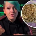 Wie man Apfelweinpflanzen auswählt und seine Nachbarn mit einer Ernte